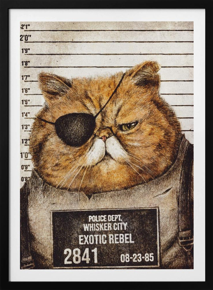 Funny Cat | Poster