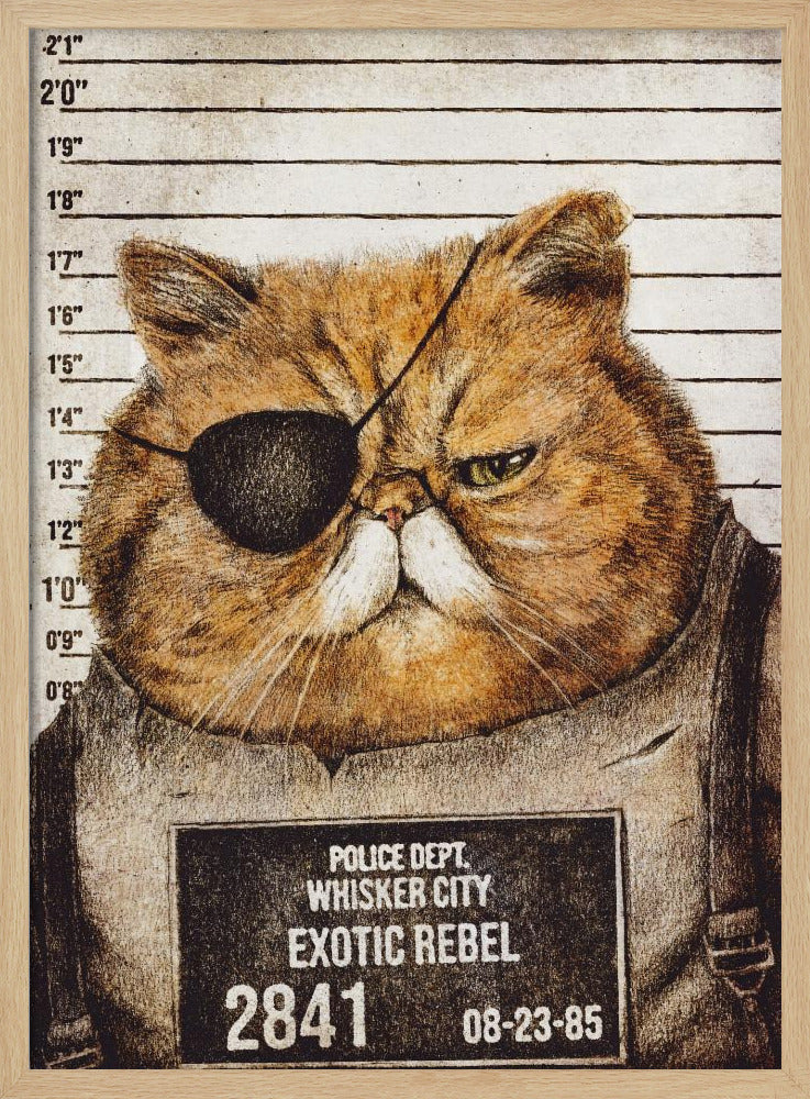 Funny Cat | Poster