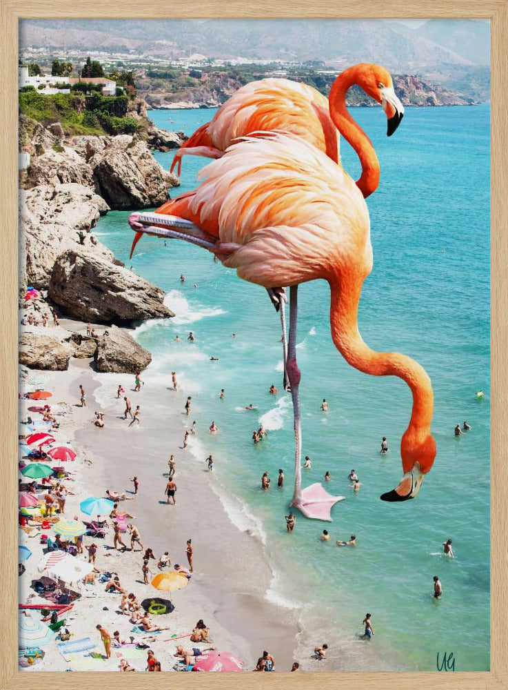 Flamingos On the Beach | Poster