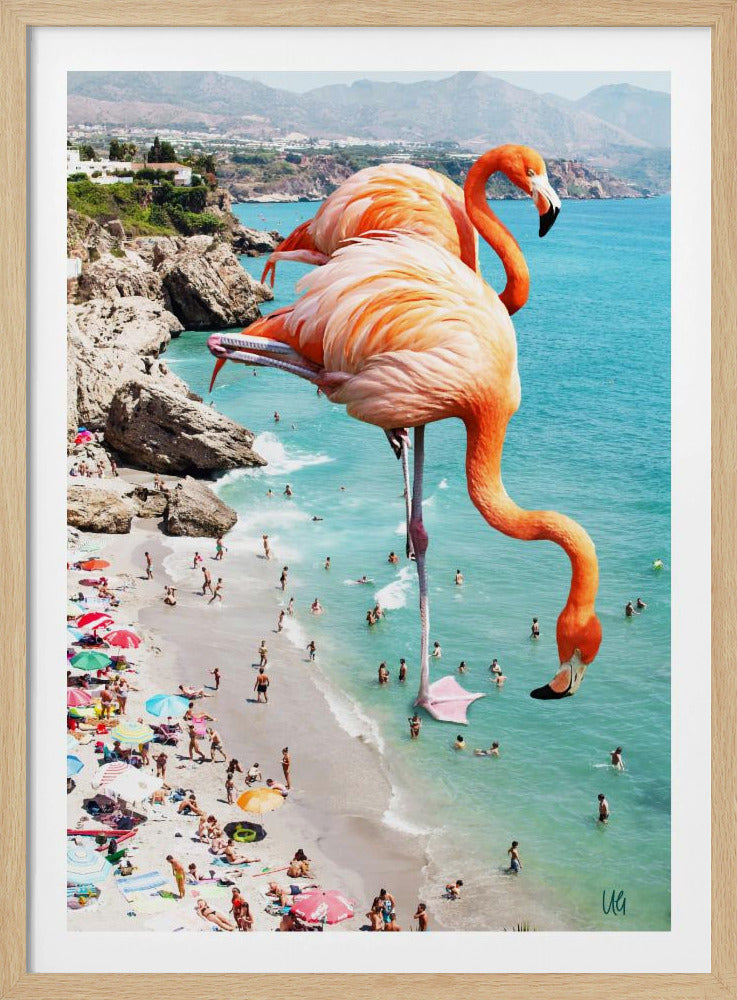 Flamingos On the Beach | Poster