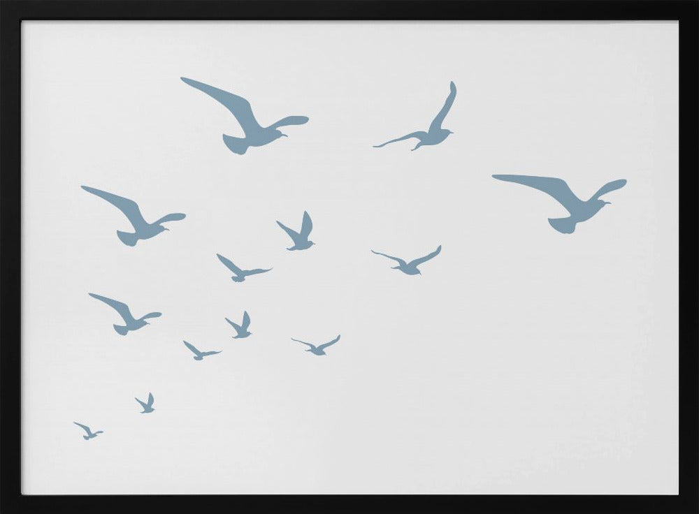 Seagulls White Background | Poster