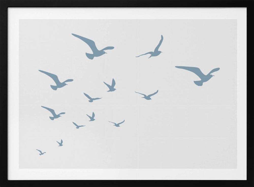 Seagulls White Background | Poster