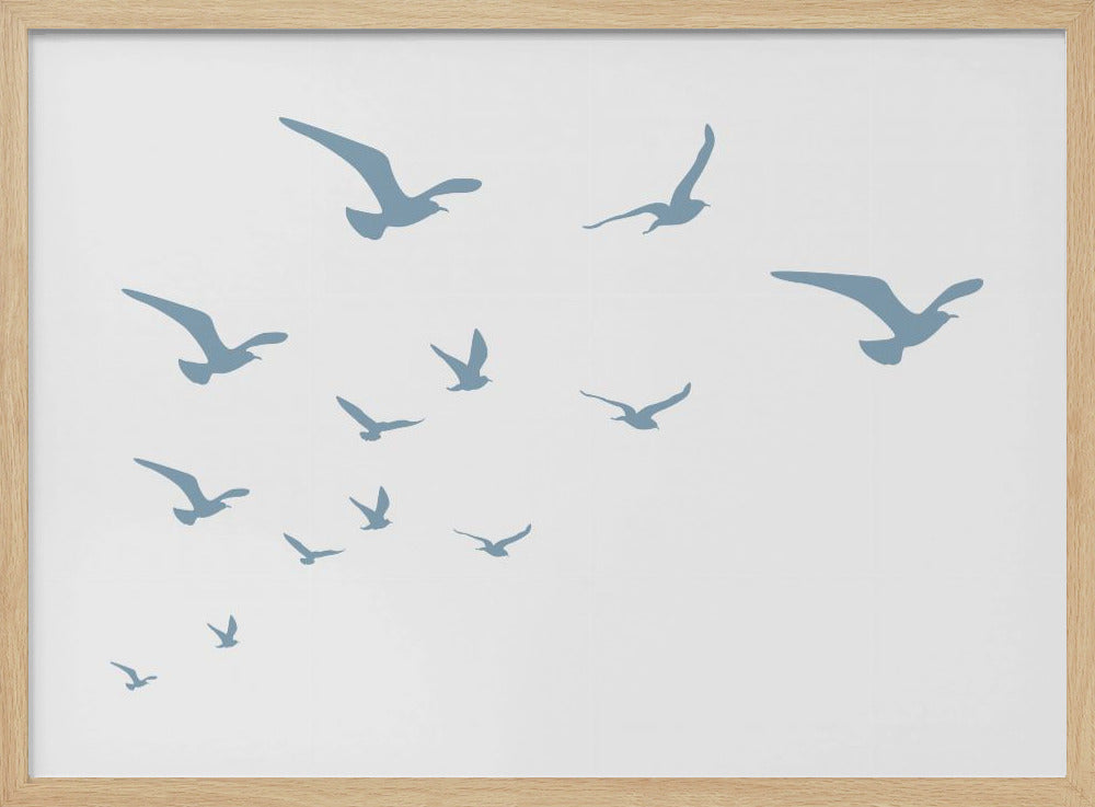 Seagulls White Background | Poster
