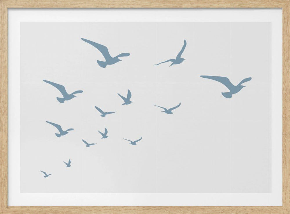 Seagulls White Background | Poster