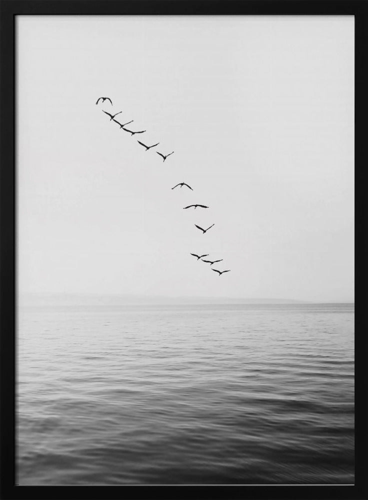 Flying Birds | Poster