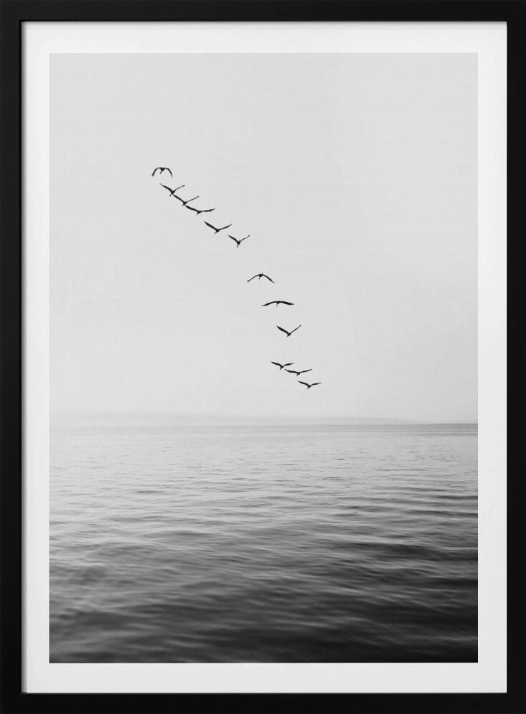 Flying Birds | Poster