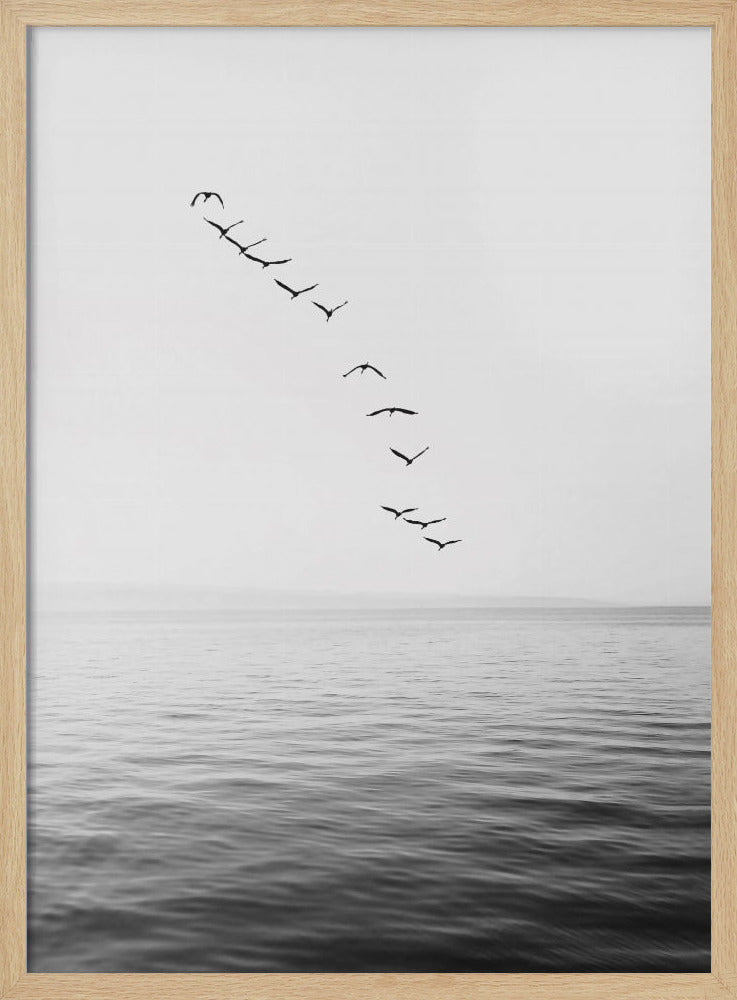 Flying Birds | Poster