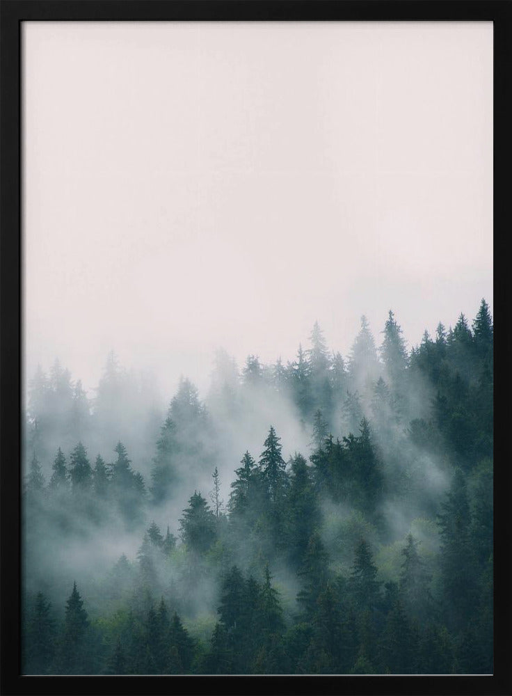 Forest | Poster