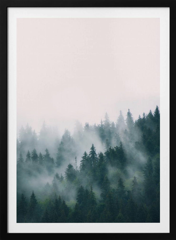 Forest | Poster