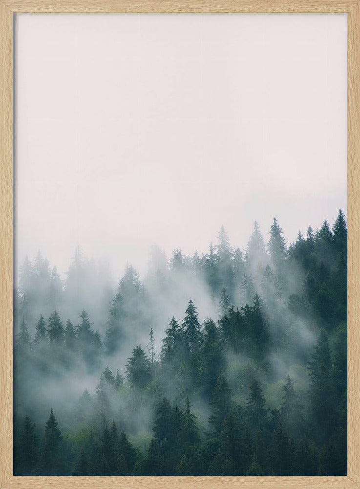Forest | Poster