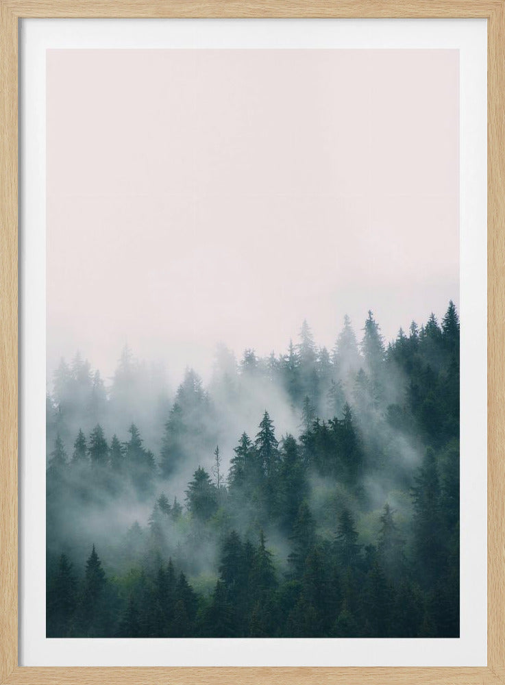 Forest | Poster