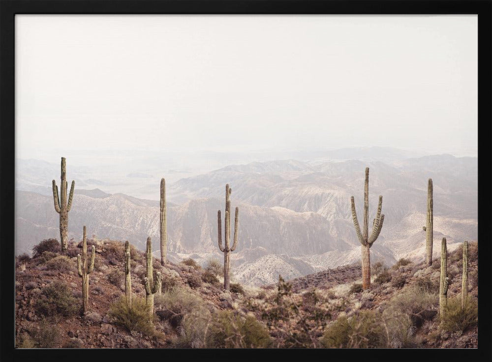 Arizona Valley | Poster