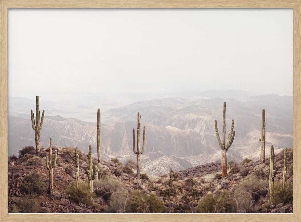 Arizona Valley | Poster