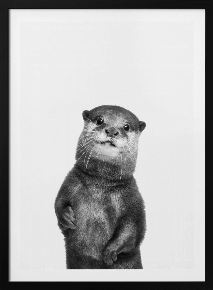 Otter | Poster