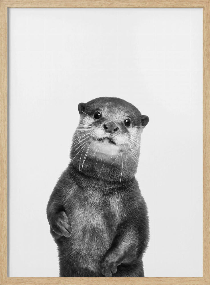 Otter | Poster