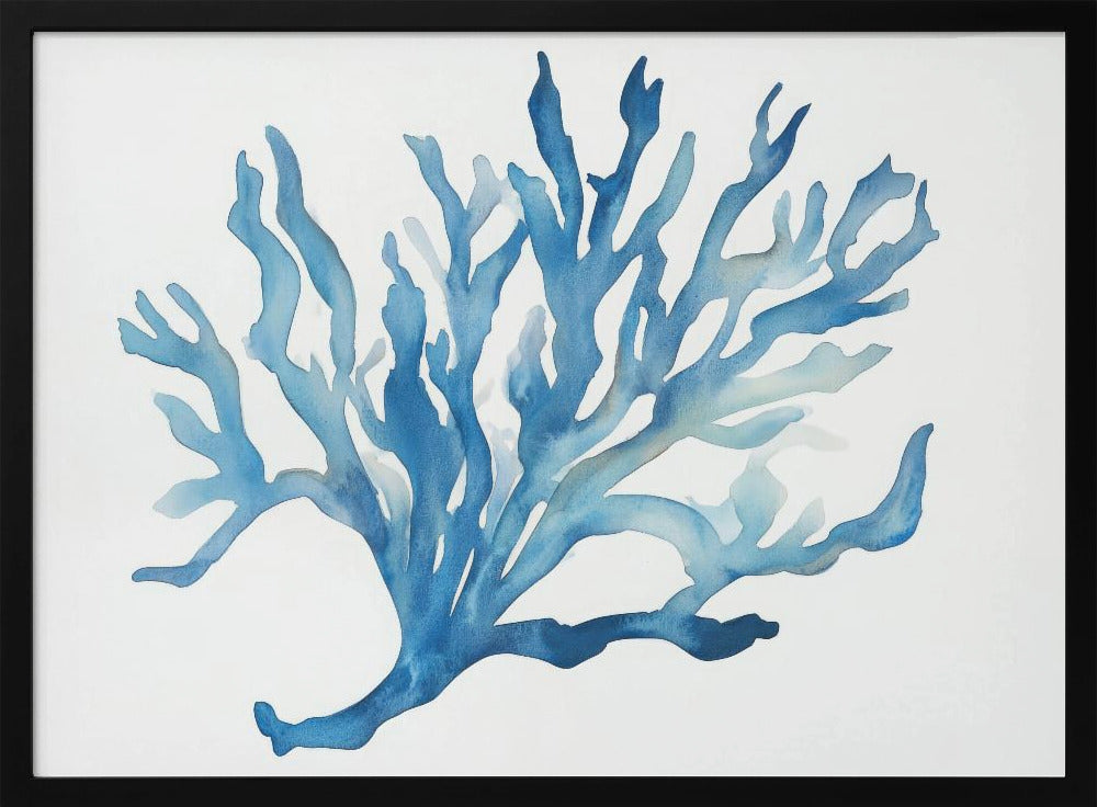 Blue Coral | Poster