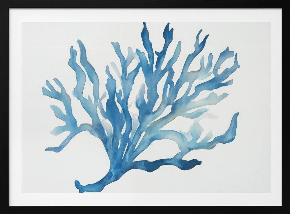 Blue Coral | Poster