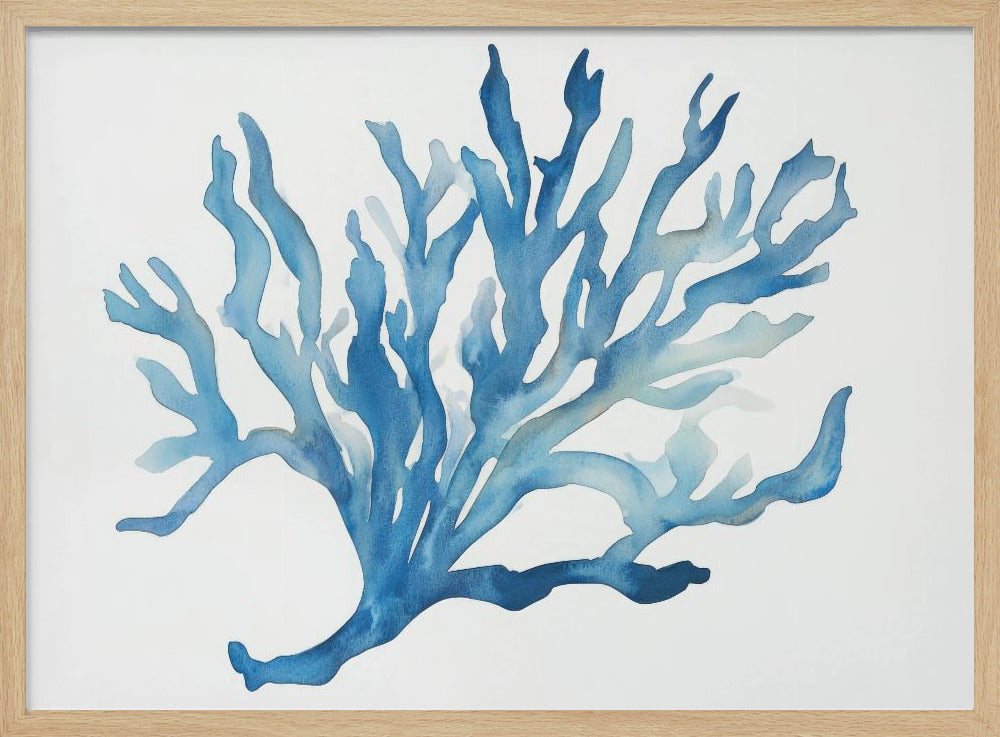 Blue Coral | Poster