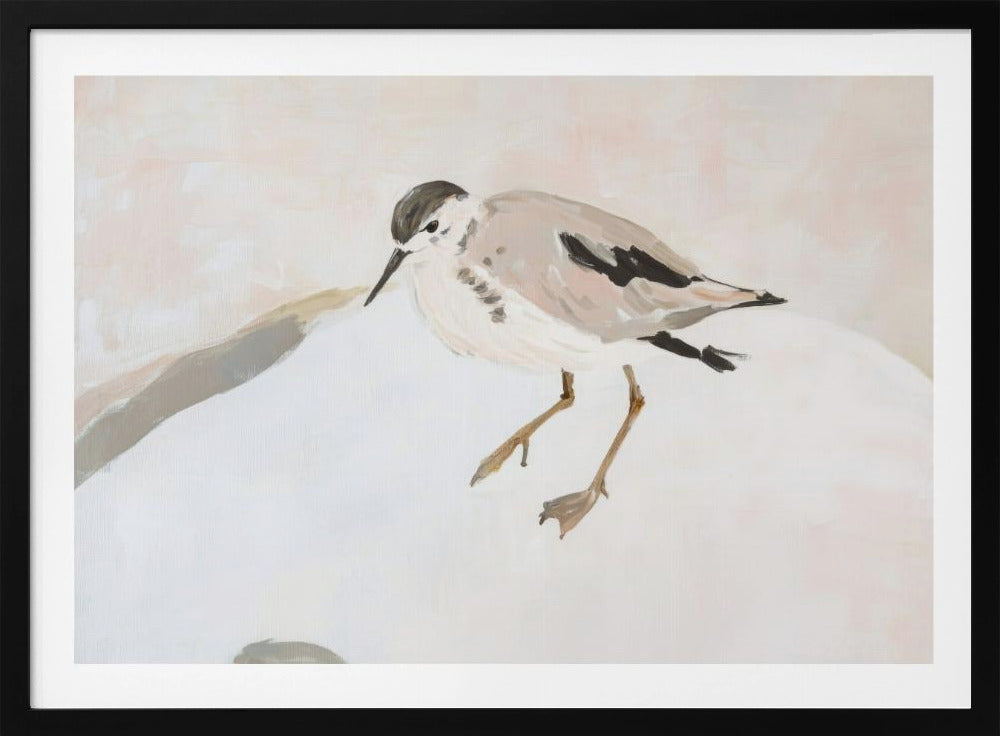 Cute Shorebird | Poster