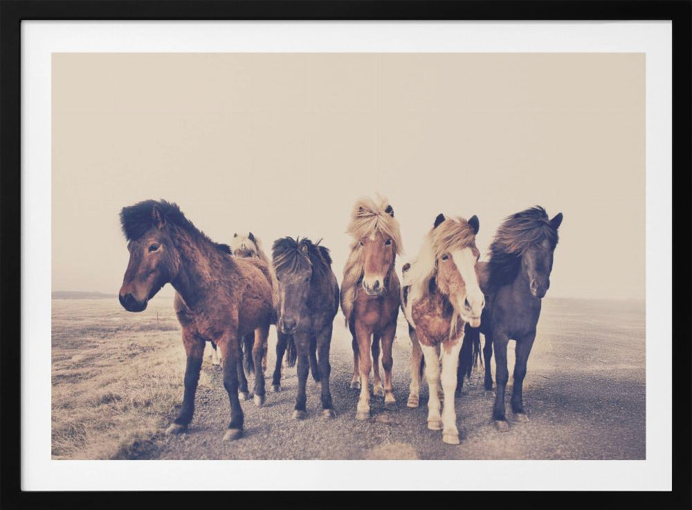 Horses | Poster