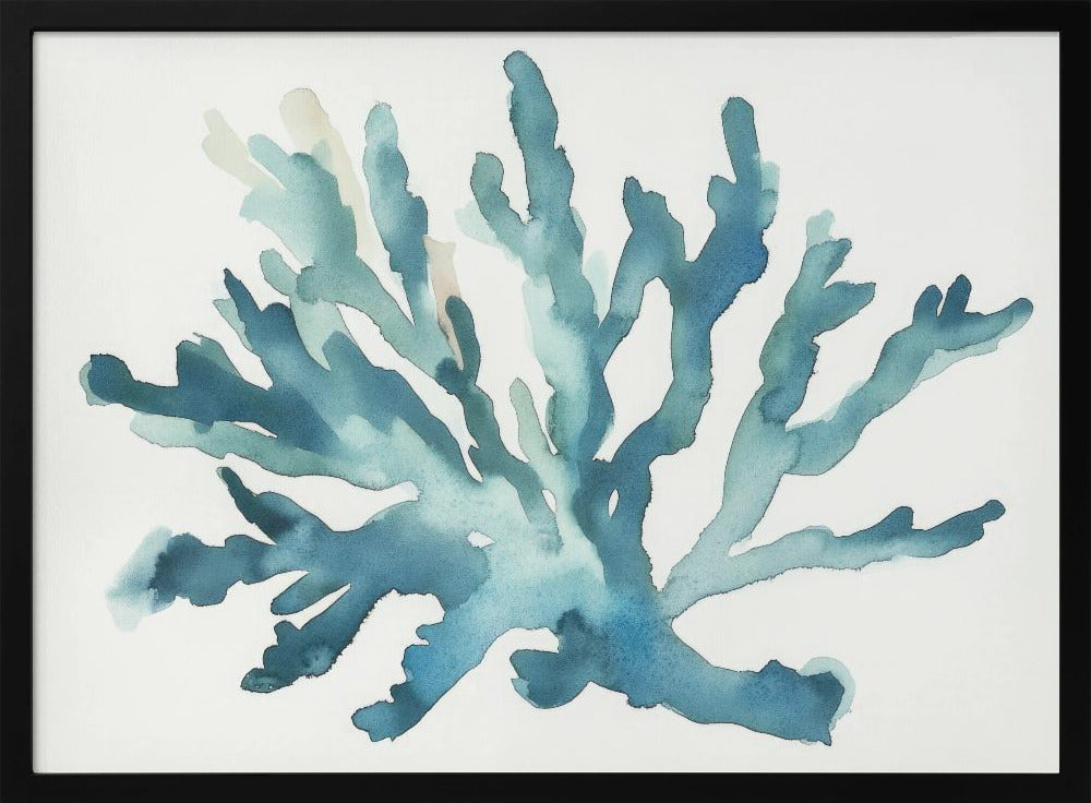 Turqoiuse Coral | Poster