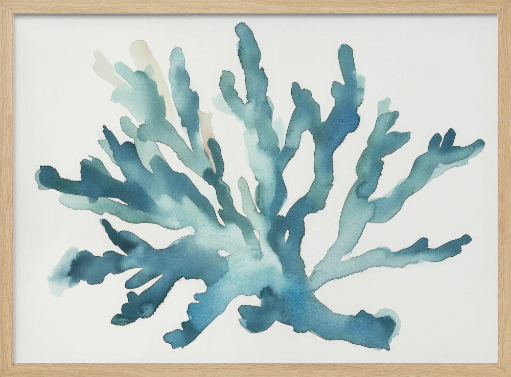 Turqoiuse Coral | Poster