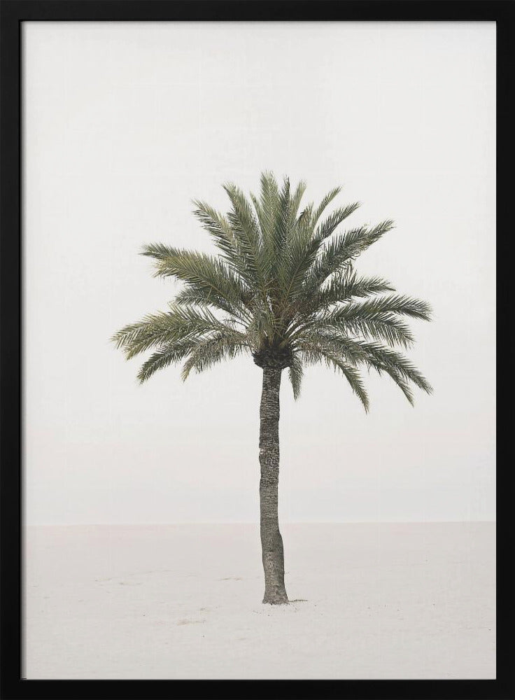 Palm | Poster