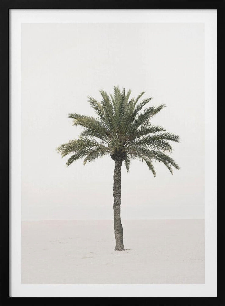 Palm | Poster