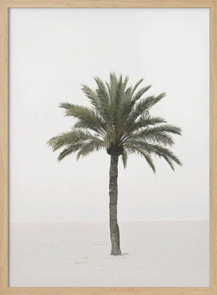 Palm | Poster