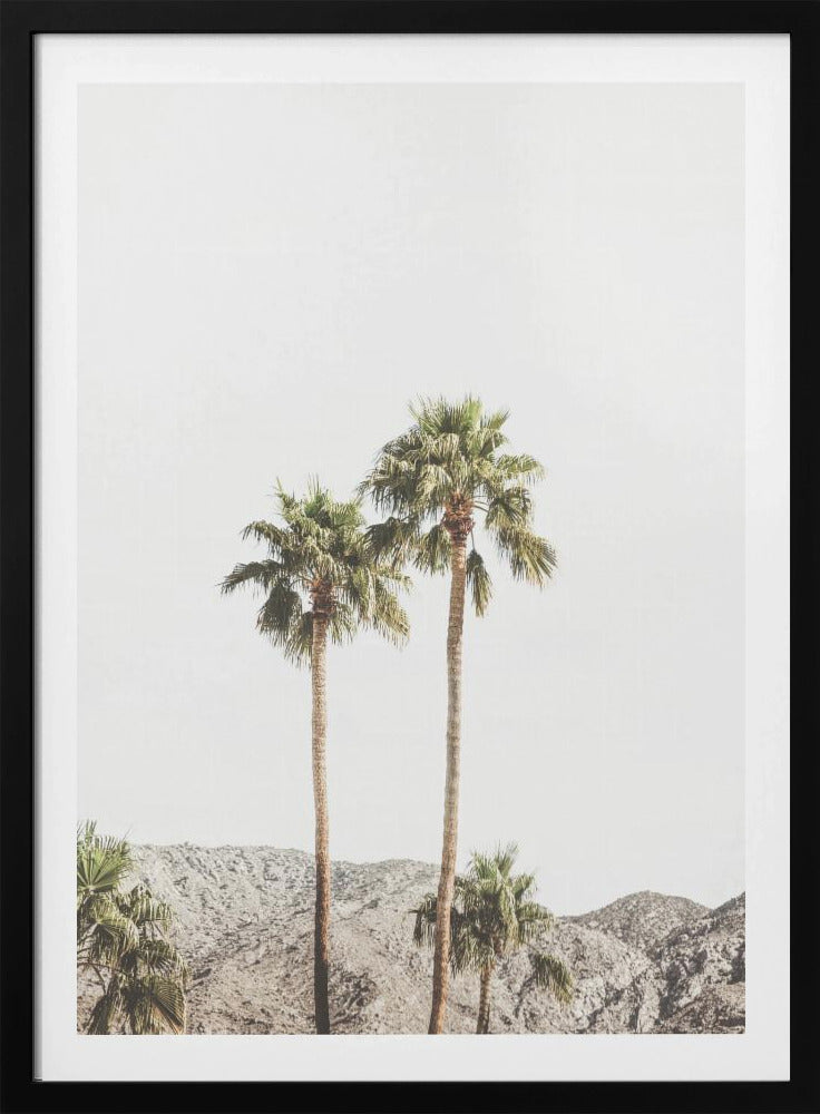 Palm Springs Palms | Poster