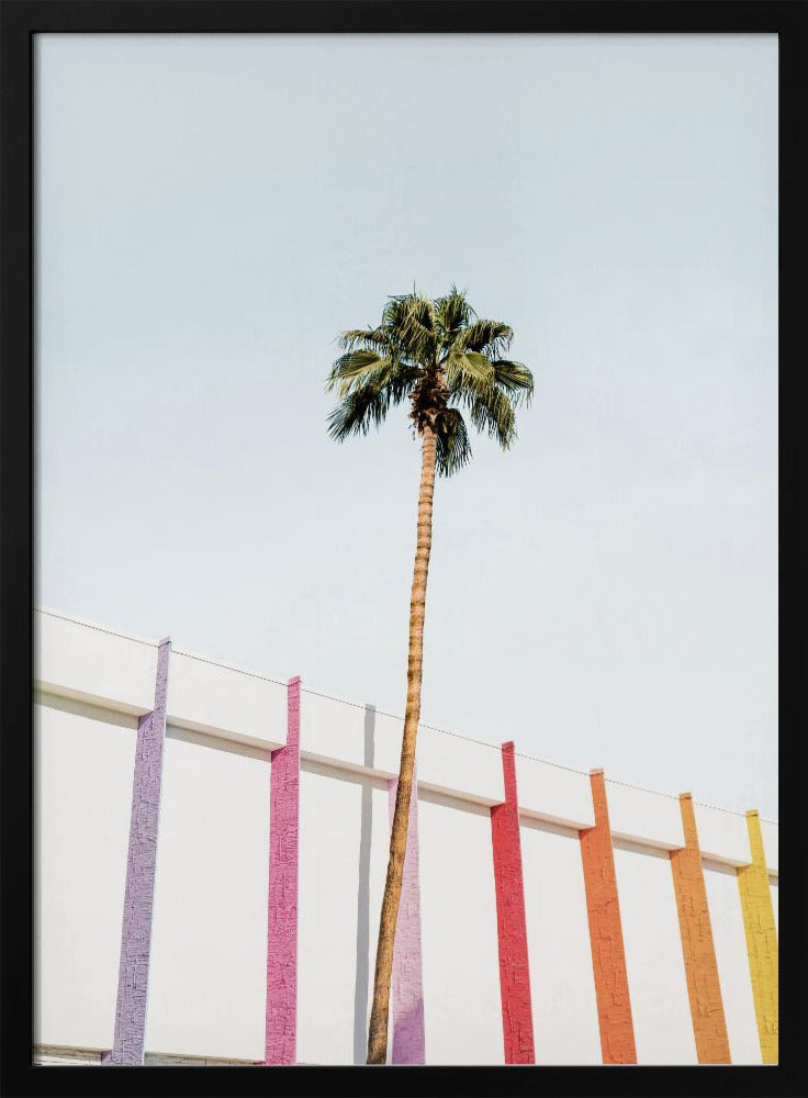 Palm Spring Colors 2 | Poster