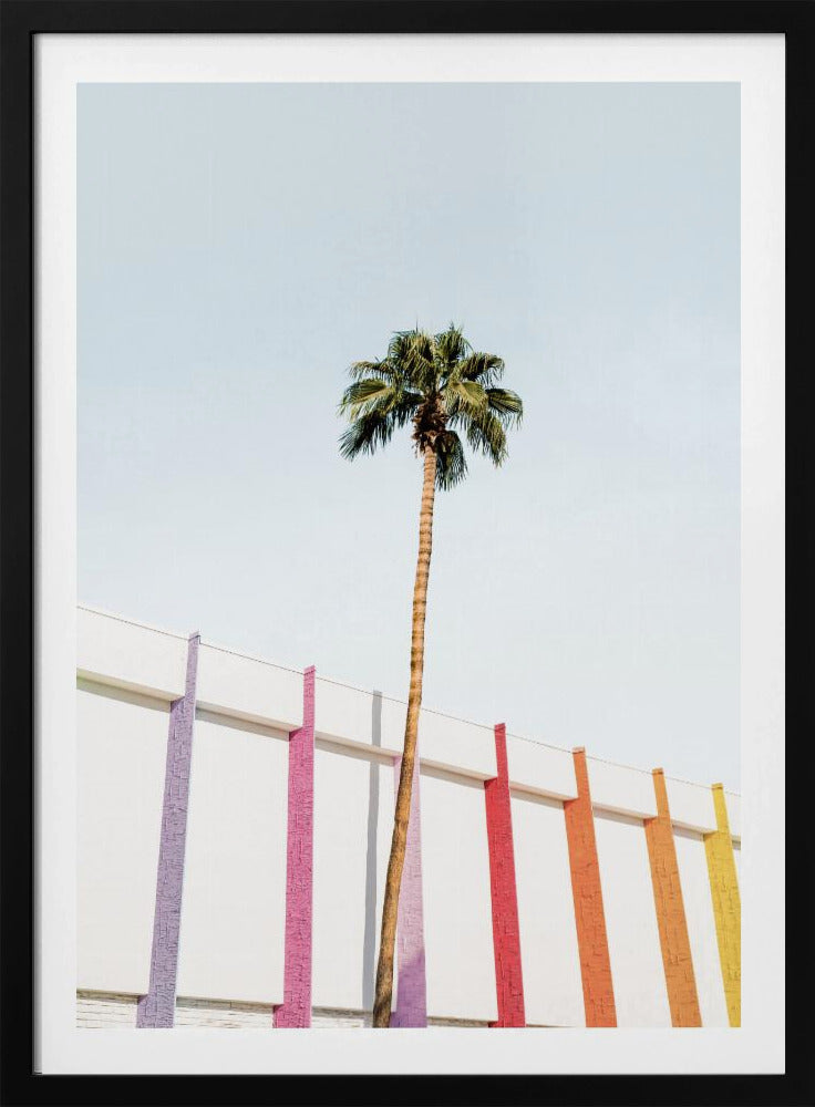 Palm Spring Colors 2 | Poster