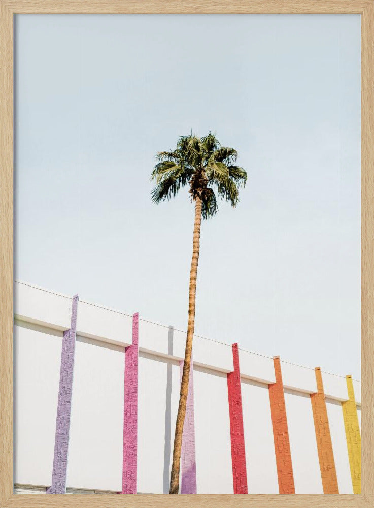 Palm Spring Colors 2 | Poster