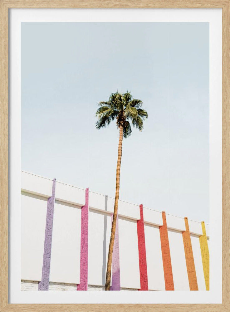 Palm Spring Colors 2 | Poster