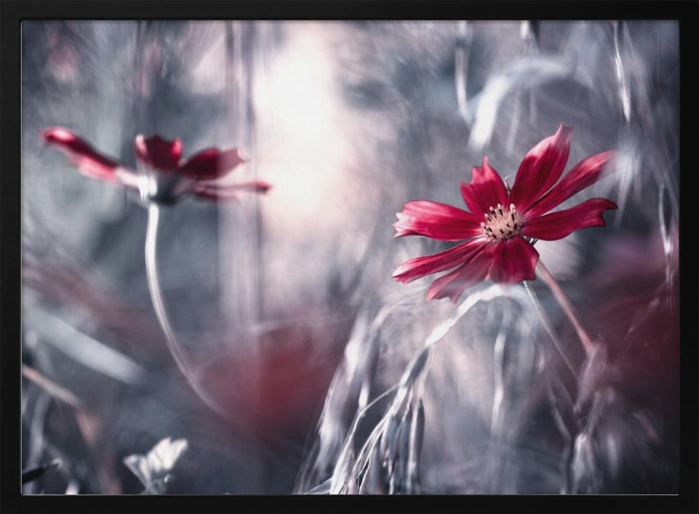 Seduction games | Poster