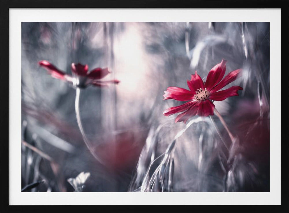 Seduction games | Poster