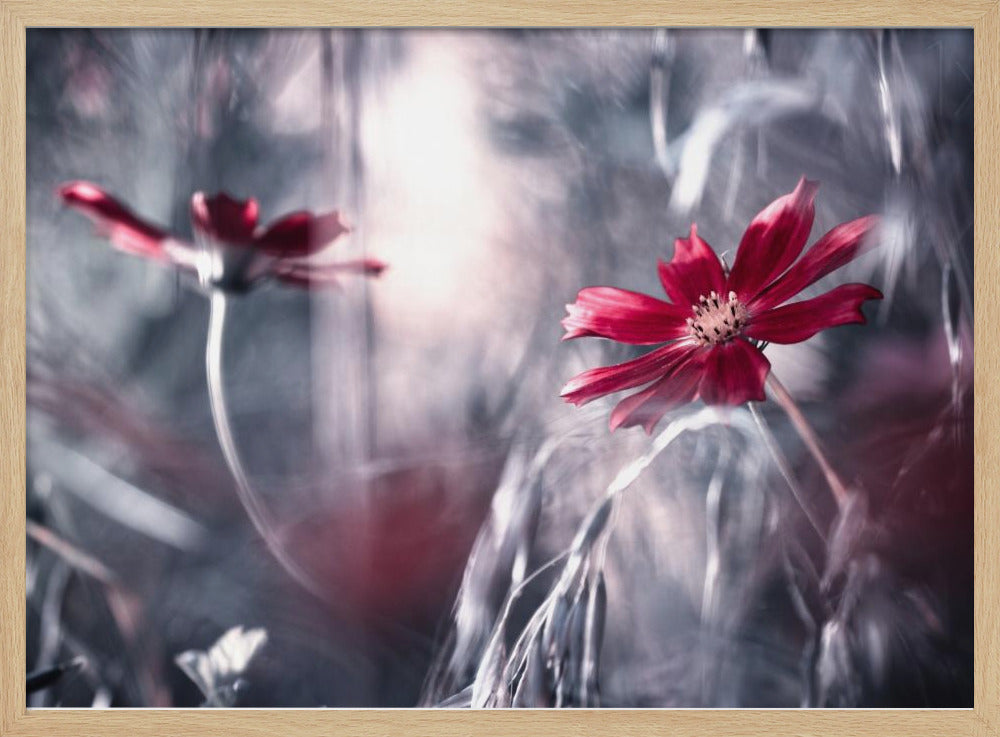 Seduction games | Poster