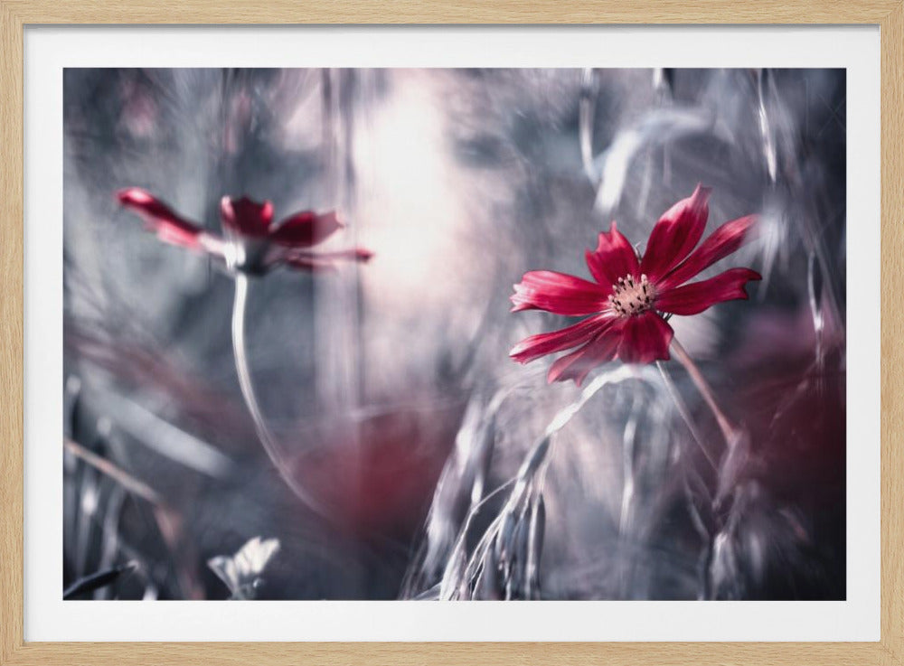 Seduction games | Poster