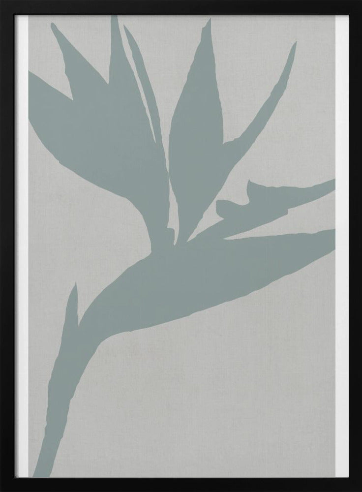 Bird of Paradise | Poster