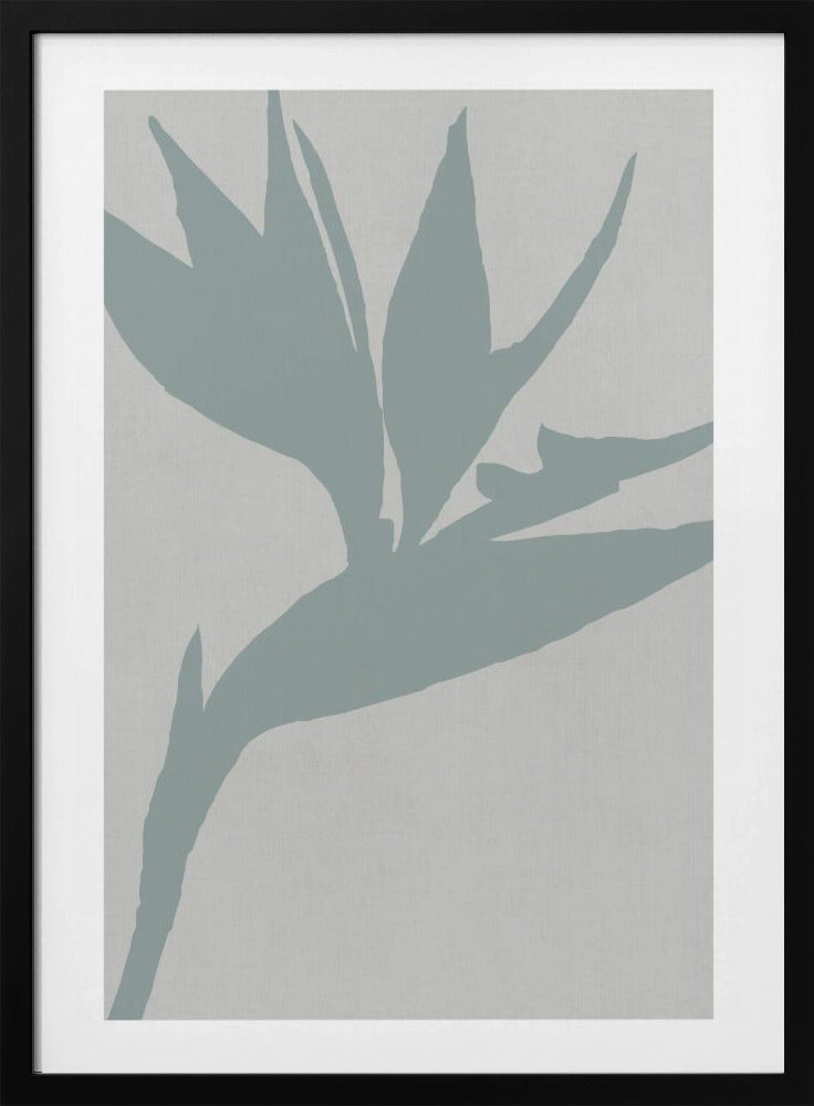 Bird of Paradise | Poster
