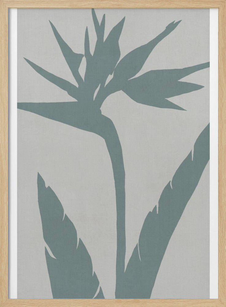 Bird of Paradise | Poster