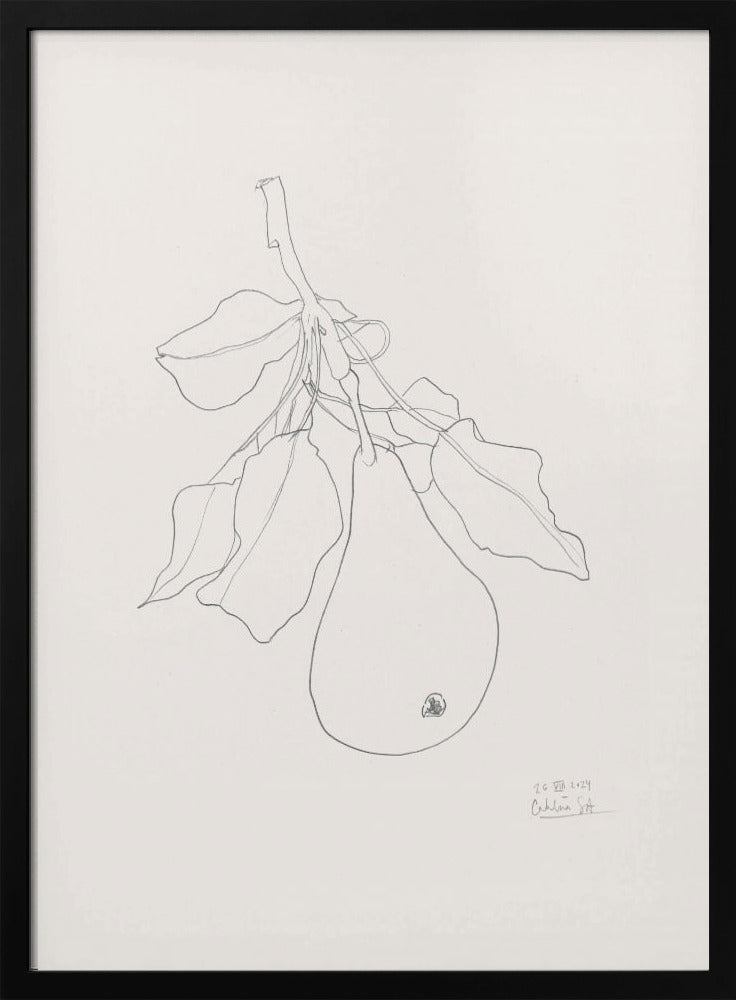 Elegant Pear Sketch | Poster