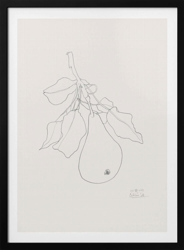 Elegant Pear Sketch | Poster