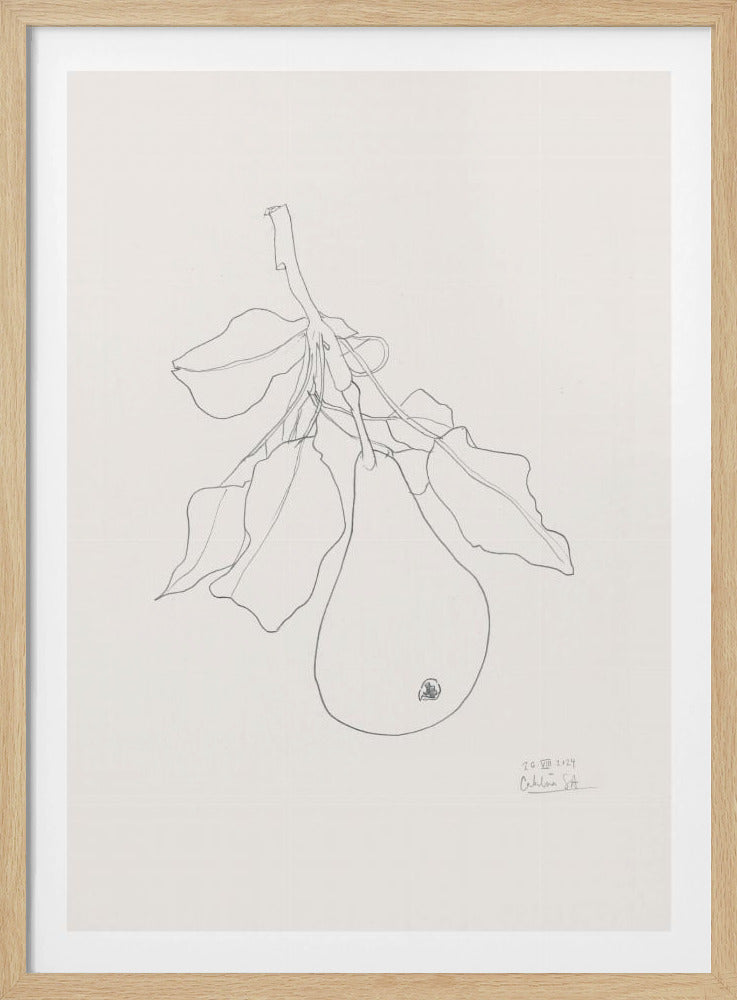 Elegant Pear Sketch | Poster