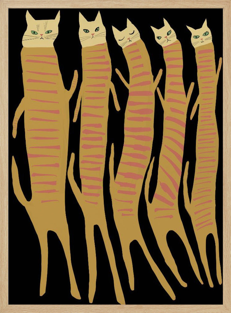 Five long cats | Poster