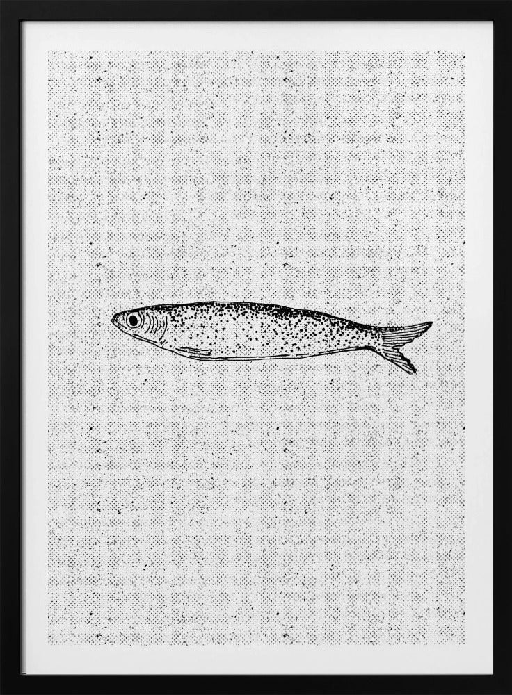 Vintage Fish Illustration | Poster