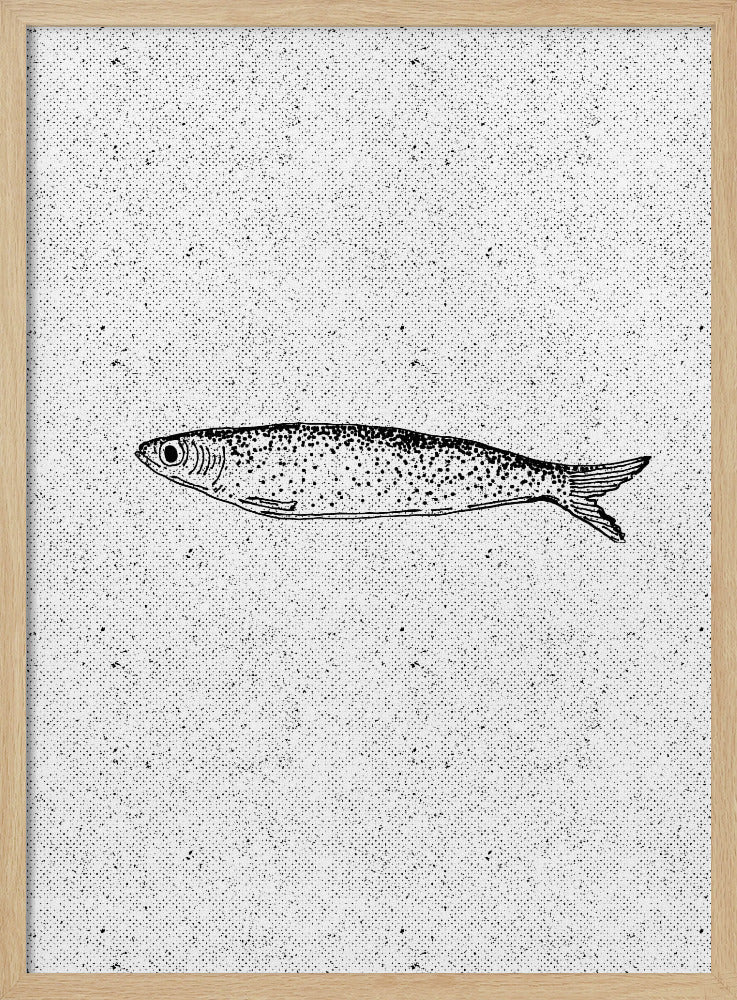 Vintage Fish Illustration | Poster
