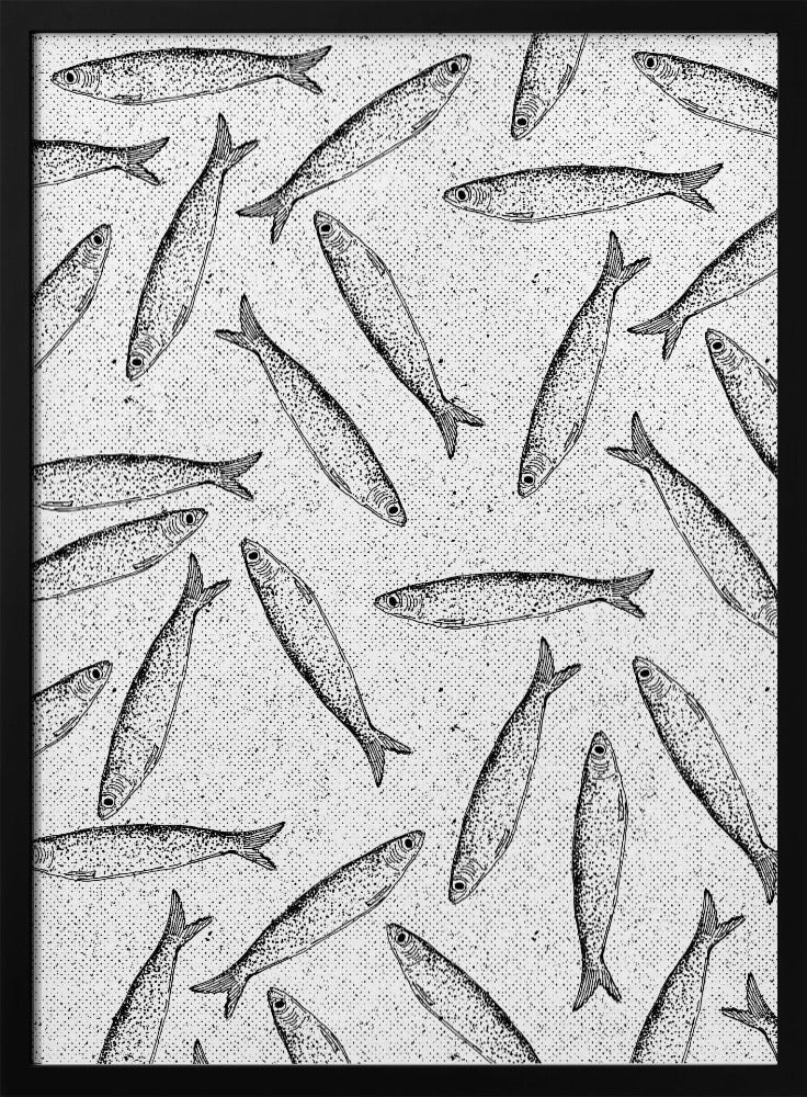Sardine Fish Pattern | Poster