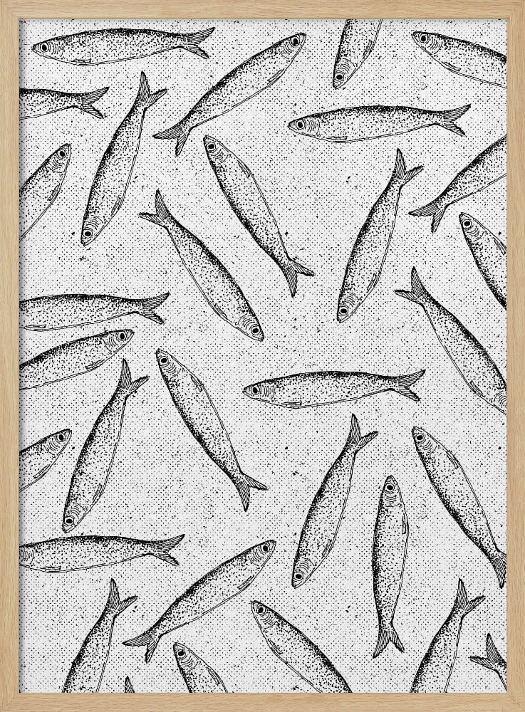 Sardine Fish Pattern | Poster