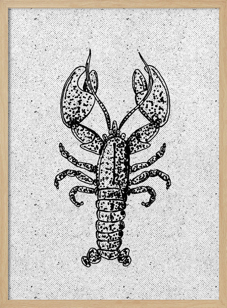 Lobster Ink Print | Poster